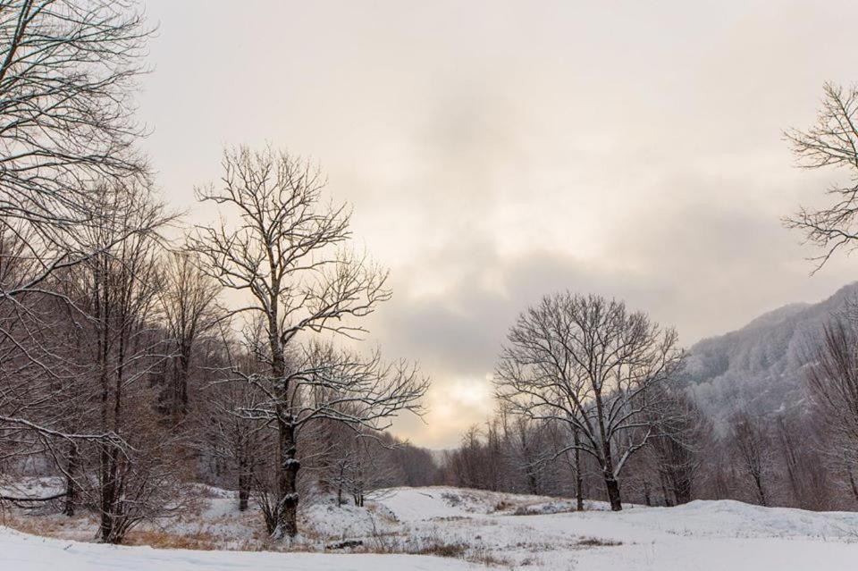 Ski Complex Velikiy Kalyny エクステリア 写真